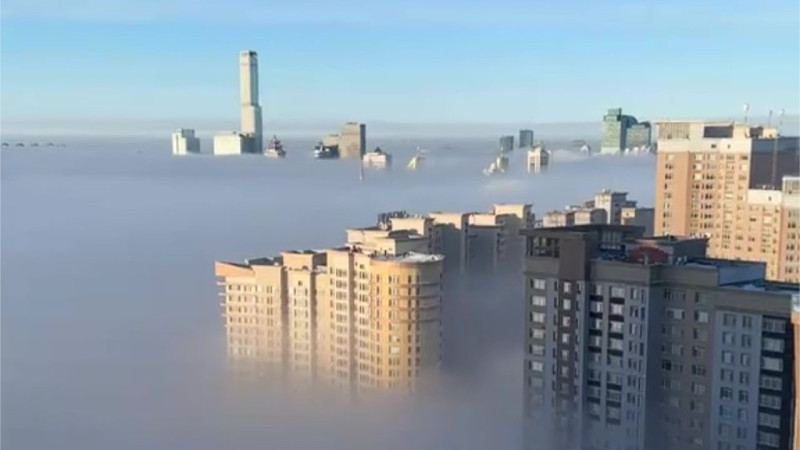 Кадр из видео