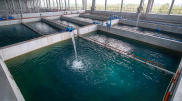 Водоснабжающее предприятие за миллиард тенге незаконно отдали частникам