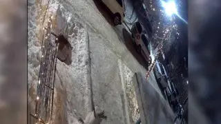 Мужчина похитил новогоднюю елку в Уральске