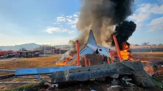 В Южной Корее назвали предварительную причину крушения самолета - СМИ