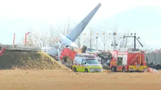 Число жертв при крушении самолета в Южной Корее возросло до 47 человек