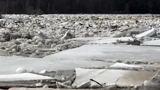 Из-за затора льда на реке Или в Алматинской области возникла угроза подтопления
