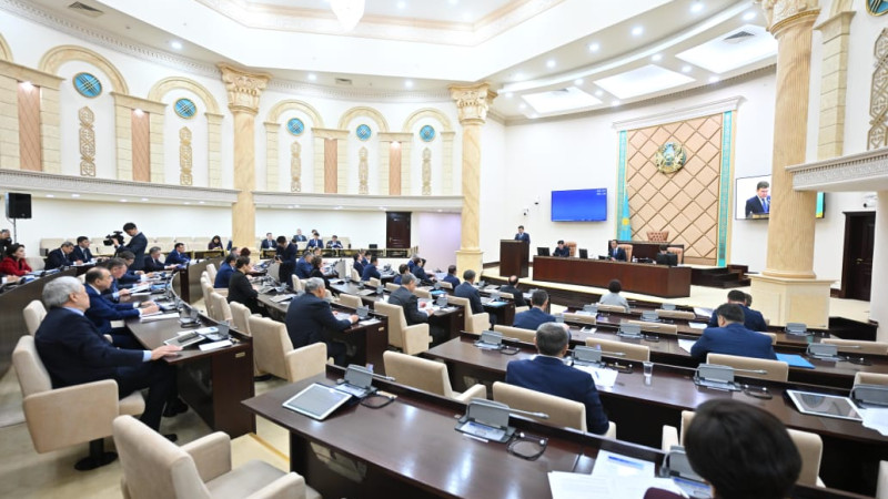 Фото: пресс-служба Сената РК