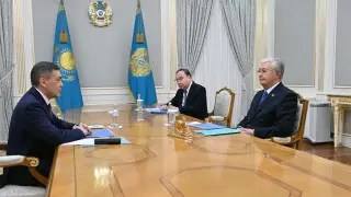 Токаев принял генерального секретаря ШОС