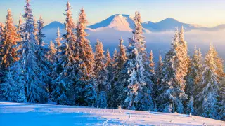 Гороскоп на сегодня: кого ждет непростой разговор, а кому судьба пошлет знак