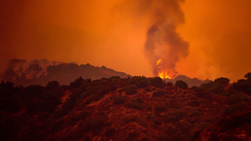 Фото:depositphotos.com