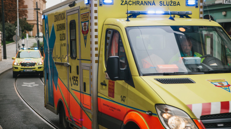 Фото:depositphotos.com / Фото автора fransz