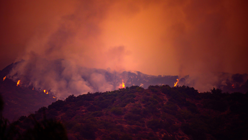 Фото:depositphotos.com