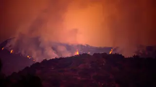 План Маршалла хотят задействовать для восстановления Лос-Анджелеса после пожаров