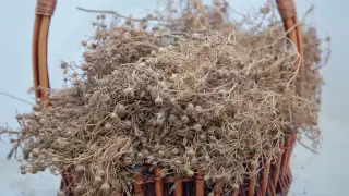 До 20 лет тюрьмы: куда нельзя брать с собой адраспан