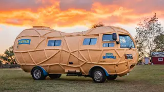 За езду на автомобиле в виде арахиса предложили зарплату в 45 тысяч долларов