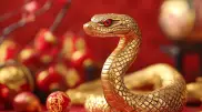 Прогнозы на год Змеи по восточному календарю: что принесет 2025 год