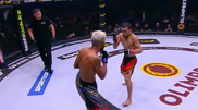 “Первый казах в TUF“: двукратный чемпион Алиби Идирис на пути в UFC