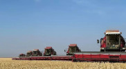 Костанайские аграрии готовятся к новому сезону: перспективы на 2025 год