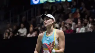 Елена Рыбакина вышла в 1/8 финала Australian Open после драматичной развязки