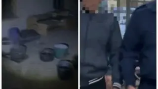 Транснациональную группу наркодилеров задержали в области Жетысу