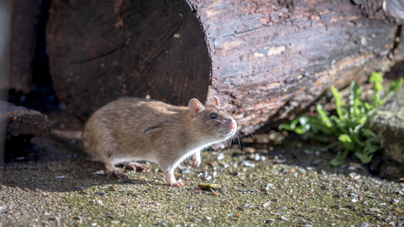 Фото:depositphotos.com