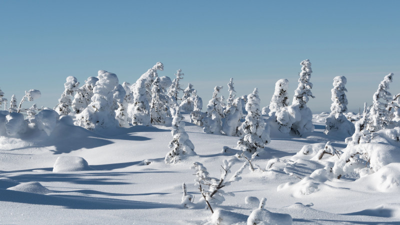 Фото:depositphotos.com