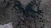 Казахстанца могут арестовать из-за загрязнения Капшагайского водохранилища