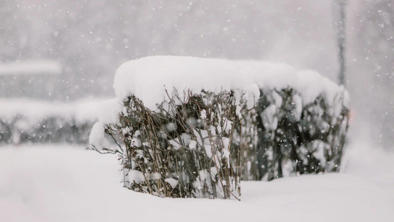 Фото ©️ Tengrinews.kz / Турар Казангапов
