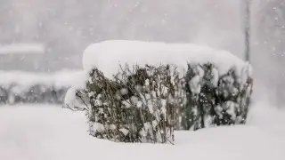 Власти Шымкента призвали жителей быть внимательными на улице