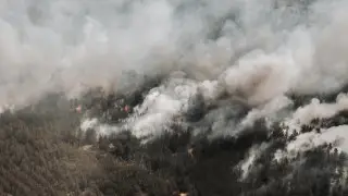 Дело о крупном пожаре в “Семей орманы“: чиновников двух министерств наказали