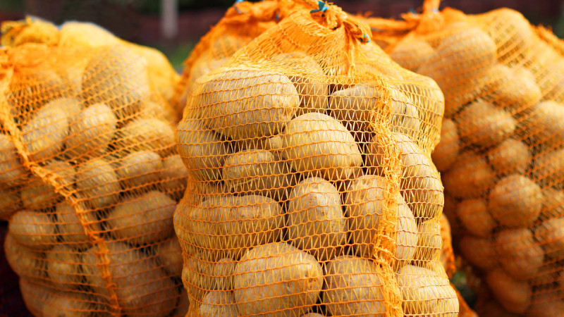 Фото:depositphotos.com