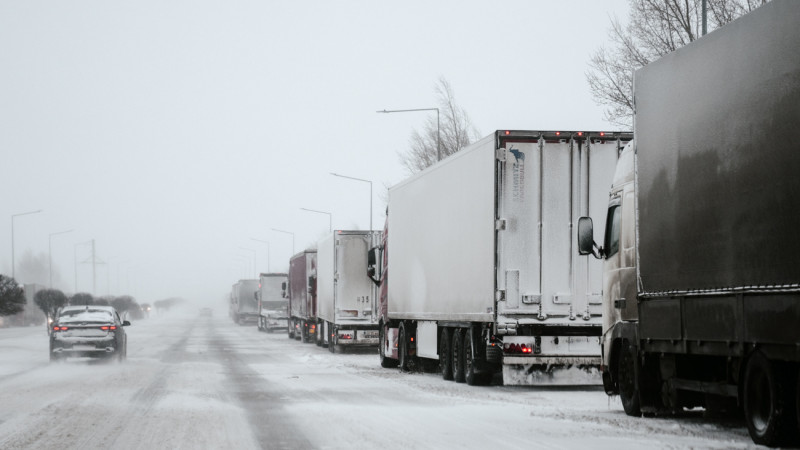 Фото ©️ Tengrinews.kz / Турар Казангапов