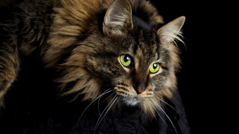 Фото:depositphotos.com