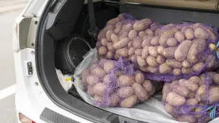 Ограничение на продажу картофеля  в Астане отменили - акимат