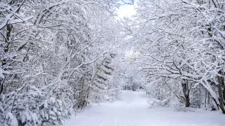 Морозы с дальнейшим понижением: погода в Астане на 3 дня