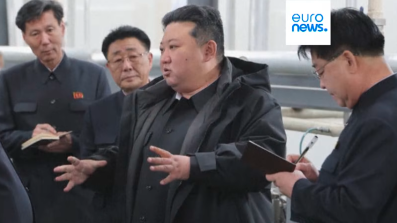 Кадр телеканала Euronews