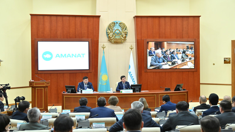 Собрание фракции Amanat. Фото: Али Галым