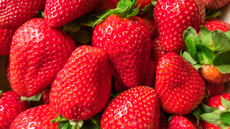 Фото:depositphotos.com