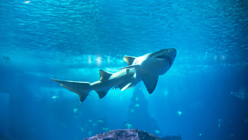 Фото:depositphotos.com