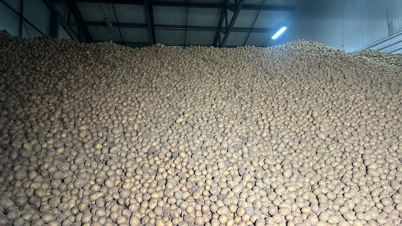 Фото ©️ Tengrinews.kz