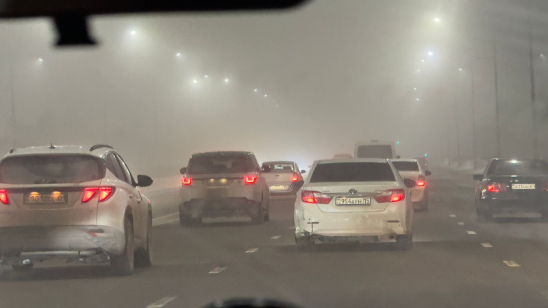 Фото ©️ Tengrinews.kz / Надежда Лыкова