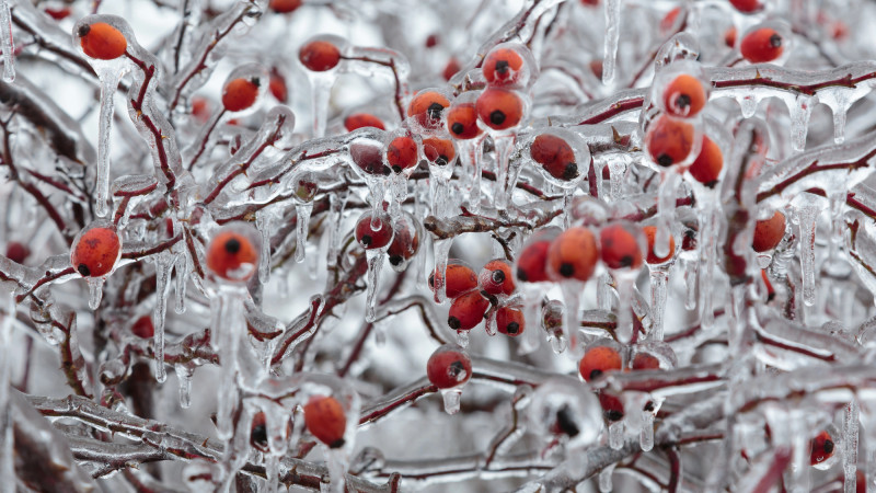 Фото:depositphotos.com