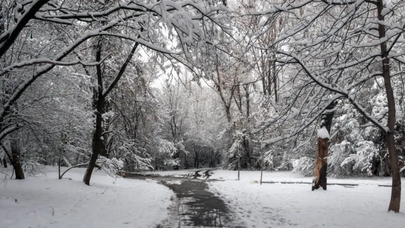 Фото:depositphotos.com