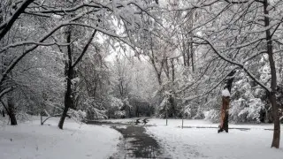 Туман и гололед: погода в Алматы на 6-8 февраля