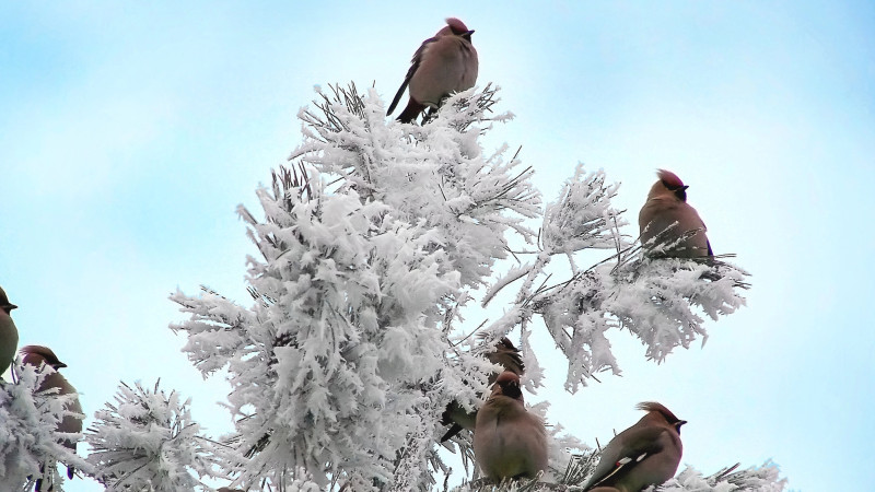 Фото:depositphotos.com