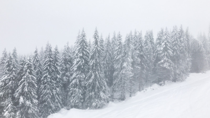 Фото:depositphotos.com