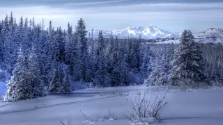 Самолет с пассажирами на борту пропал без вести на Аляске