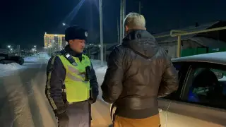 На севере Казахстана усилили контроль за машинами с иностранными номерами