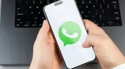 Чиновника отправили в отставку после комментариев в WhatsApp