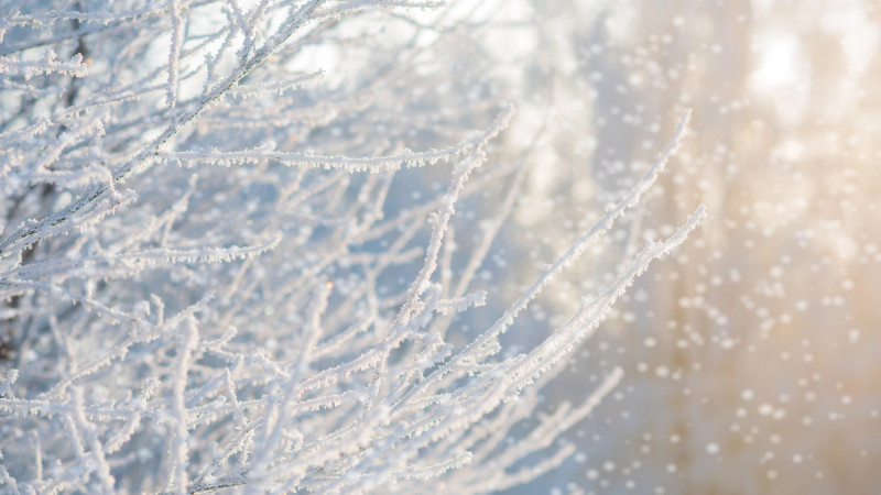 Фото:depositphotos.com