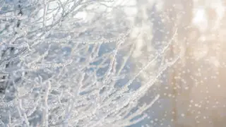 Поземка и туманы: погода в Астане на 10-12 февраля