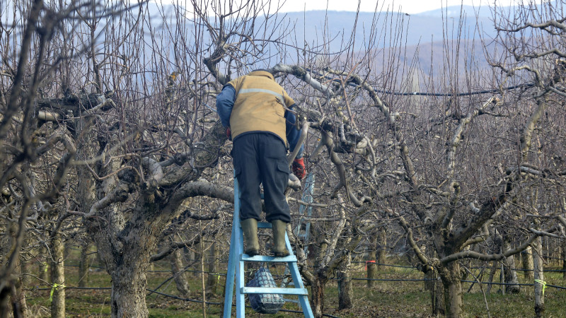 Иллюстративное фото:depositphotos.com