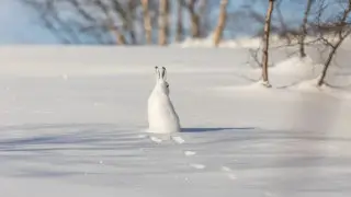 Снег и морозы: погода в Астане на 11-13 февраля
