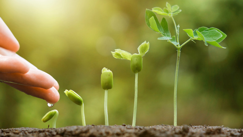 Фото:depositphotos.com